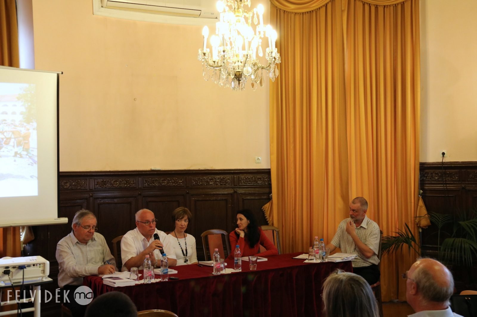 Magyarok a téren: civilek és nemzetpolitika — Magyar napok, fesztiválok a Kárpát-medencében