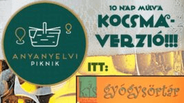 Anyanyelvi piknik Óbudán