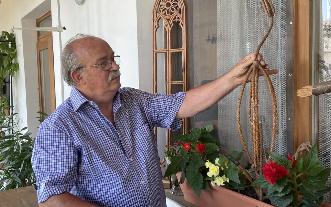 A kultúra szorgos lovagjai